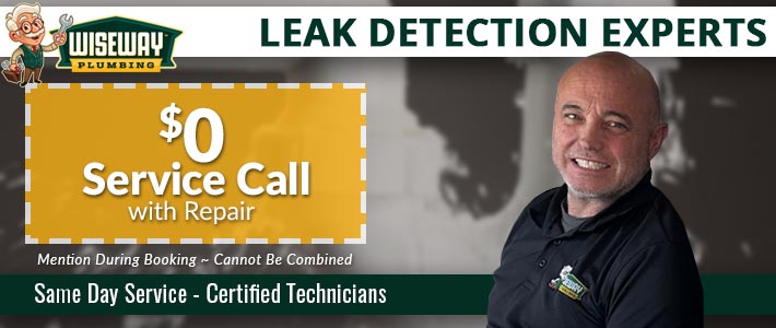 southern cal Leak Detection Wiseway Plumbing
